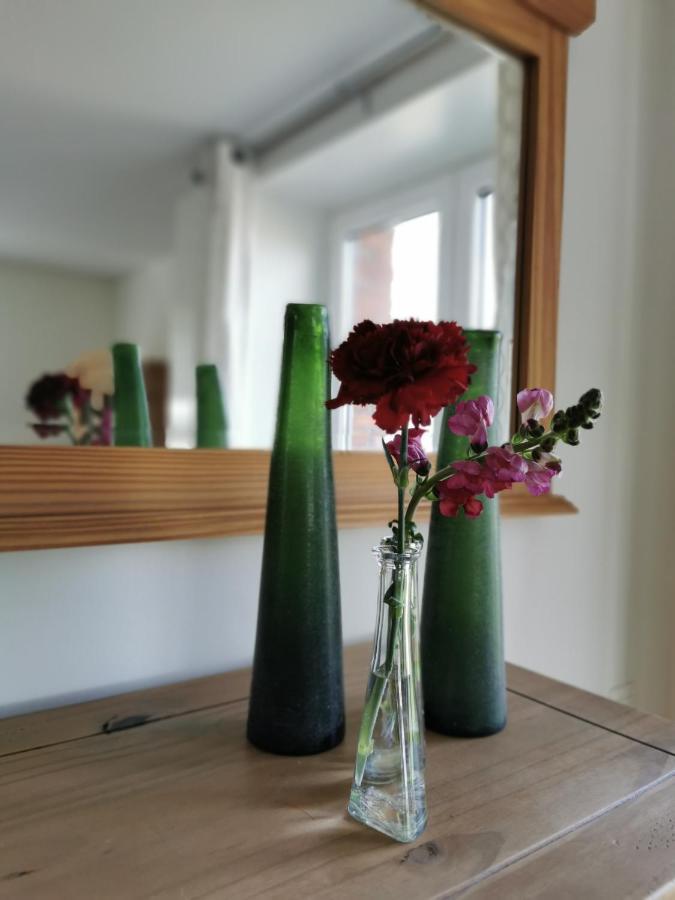 Bed and Breakfast Housing De Brouwerij Westdorpe Экстерьер фото